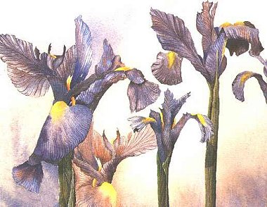 Spring Fantasy