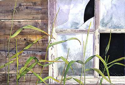 The Window