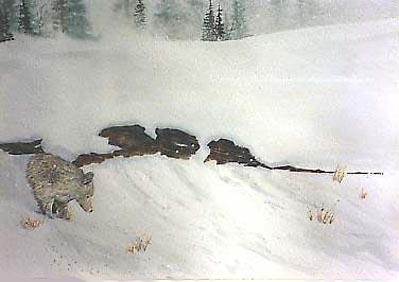 Wolf Searching